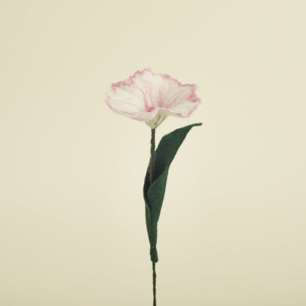 Filzblume Weiß